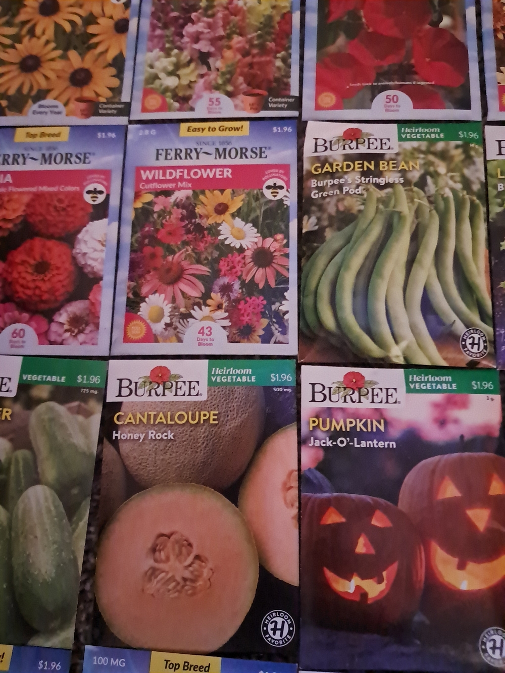 Assorted Seed Packet Collection - Multicolor - Picture 5 of 8